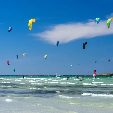 Ty Navarin - Bel Avec * ברסט